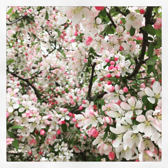 Meet your Posher, Beth - Picture 1 of 1